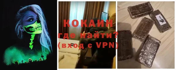 прущие грибы Горняк