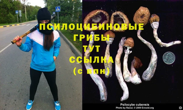 МДМА Вязьма