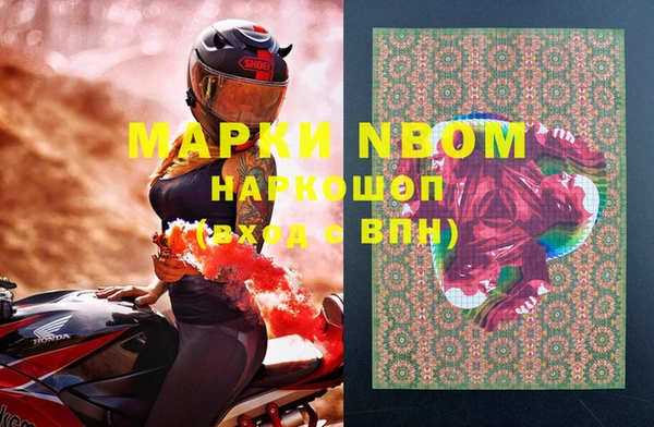 прущие грибы Беслан