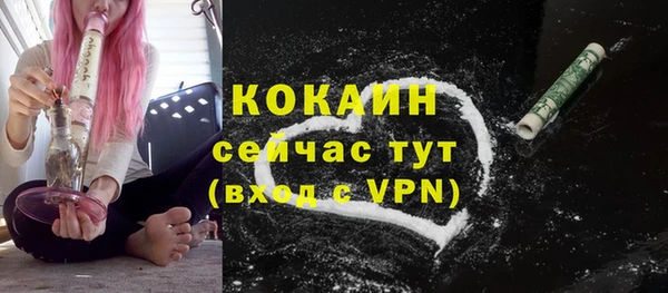 меф Вяземский